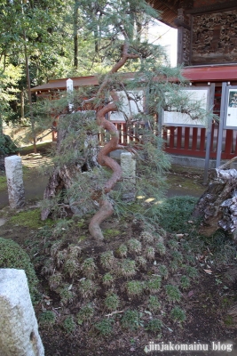 狭山八幡神社　　狭山市入間川10