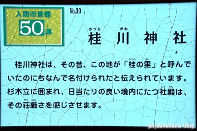 桂川神社　入間市大字木蓮寺13