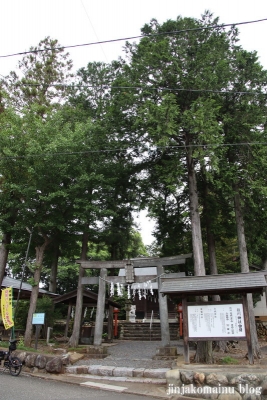 桂川神社　入間市大字木蓮寺1