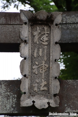 桂川神社　入間市大字木蓮寺3