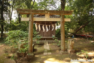 野木神社　下都賀郡野木町大字野木20