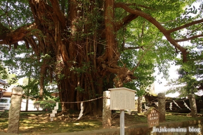 野木神社　下都賀郡野木町大字野木26