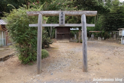 大杉神社　下都賀郡野木町大字野木1