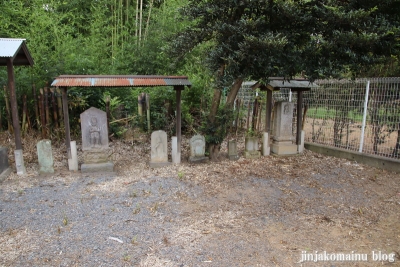 大杉神社　下都賀郡野木町大字野木5