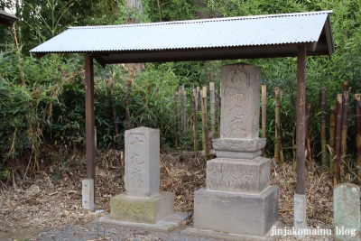 大杉神社　下都賀郡野木町大字野木6