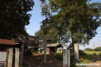 星宮神社　下都賀郡野木町大字潤島1