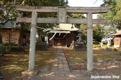 星宮神社　下都賀郡野木町大字潤島3