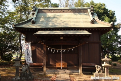 星宮神社　下都賀郡野木町大字潤島5