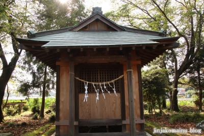 星宮神社　下都賀郡野木町大字潤島12