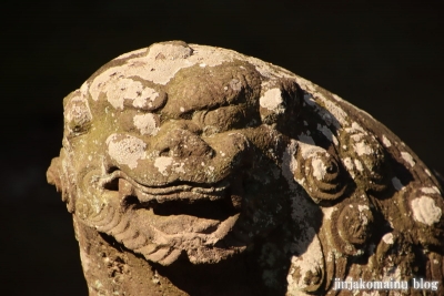 星宮神社　下都賀郡野木町大字潤島22