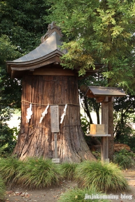 星宮神社　下都賀郡野木町大字潤島9