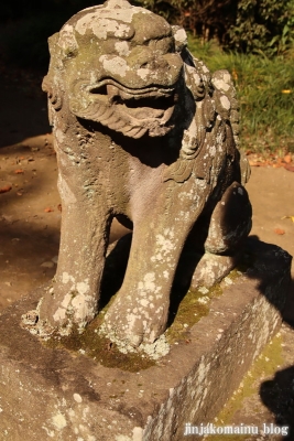 星宮神社　下都賀郡野木町大字潤島15