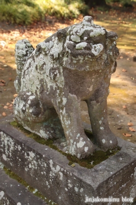 星宮神社　下都賀郡野木町大字潤島19