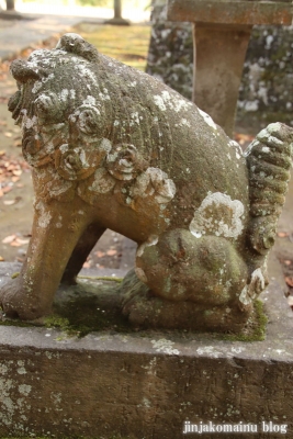 星宮神社　下都賀郡野木町大字潤島20