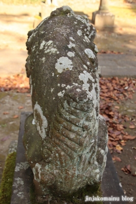 星宮神社　下都賀郡野木町大字潤島21