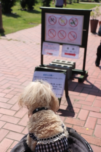 浜寺公園