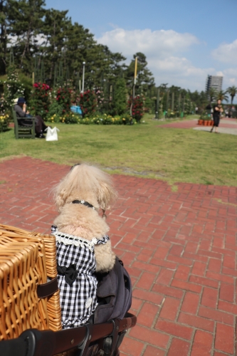 浜寺公園