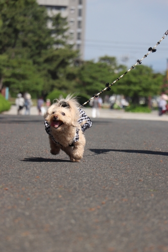 浜寺公園