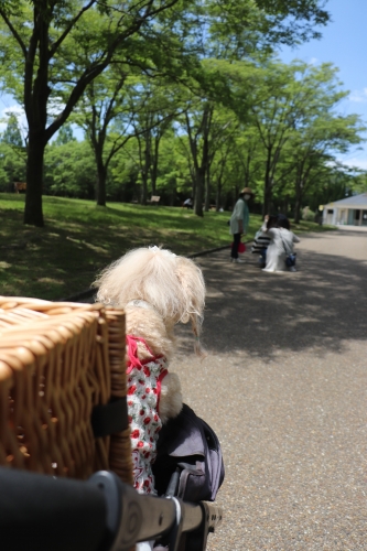 蜻蛉池公園