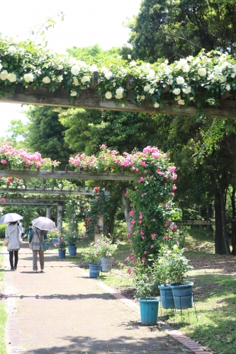 蜻蛉池公園