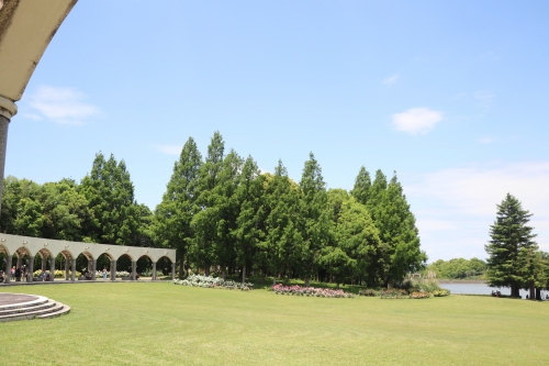 蜻蛉池公園