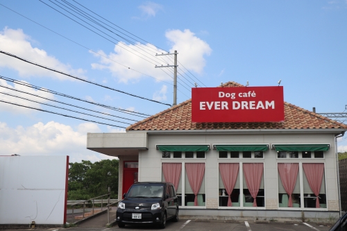 Dog Cafe EverDream