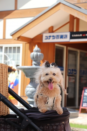 米花商店街