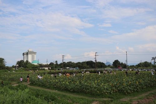 第一なぎさ公園