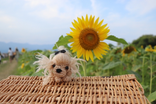 第一なぎさ公園