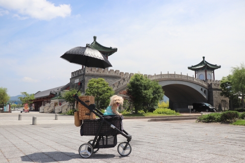 道の駅 「燕趙園」