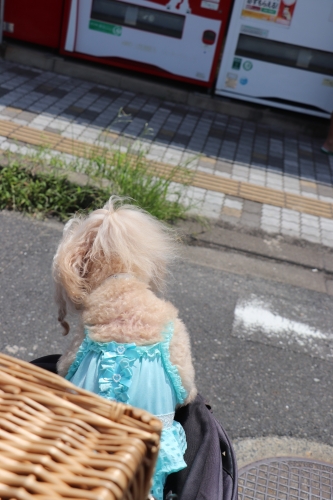 道の駅「大栄」