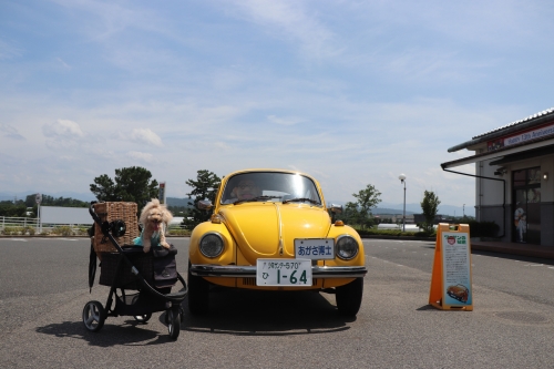 青山剛昌ふるさと館