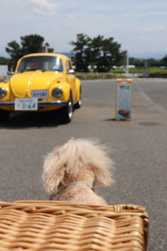 青山剛昌ふるさと館