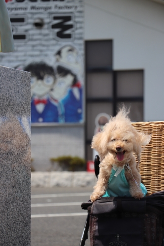 青山剛昌ふるさと館