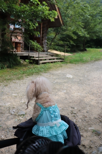 ウッディキッチン木土愛楽園