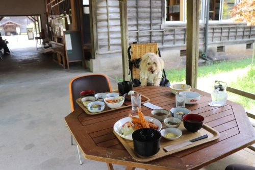 奈良カエデの郷ひらら