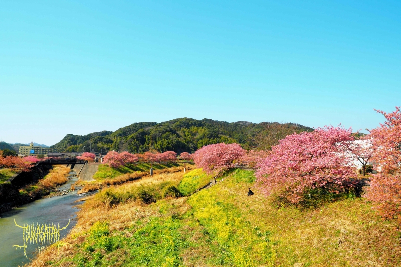 20210222_at_minami_izu_town_03