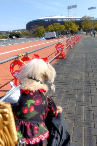 神戸総合運動公園