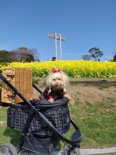 神戸総合運動公園