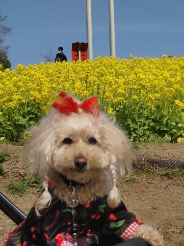 神戸総合運動公園