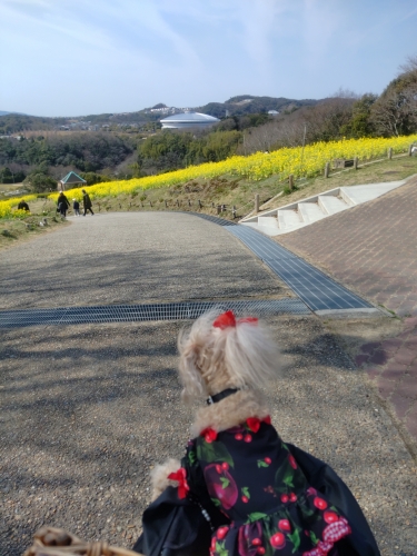 神戸総合運動公園