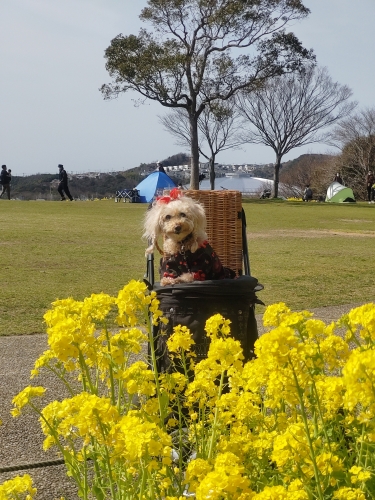 神戸総合運動公園