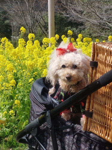 神戸総合運動公園