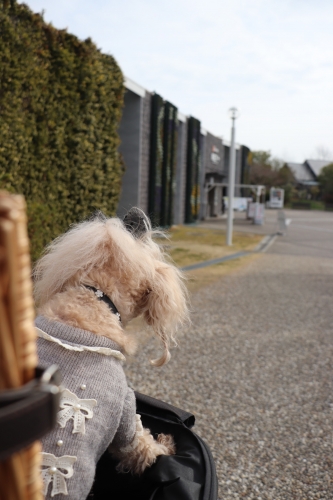 明石海峡公園