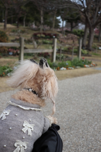 明石海峡公園