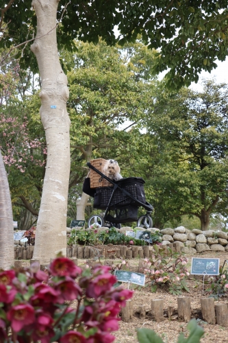 明石海峡公園