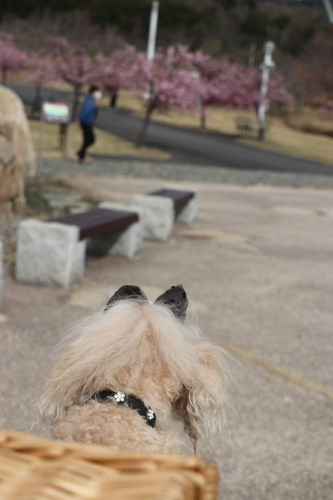 明石海峡公園