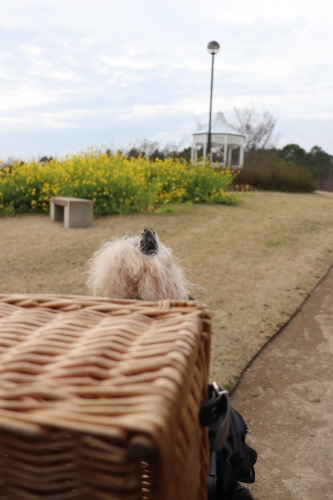 明石海峡公園