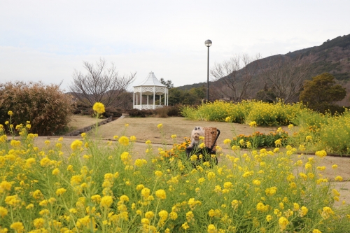 明石海峡公園