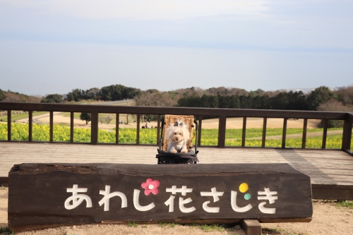 あわじ花さじき